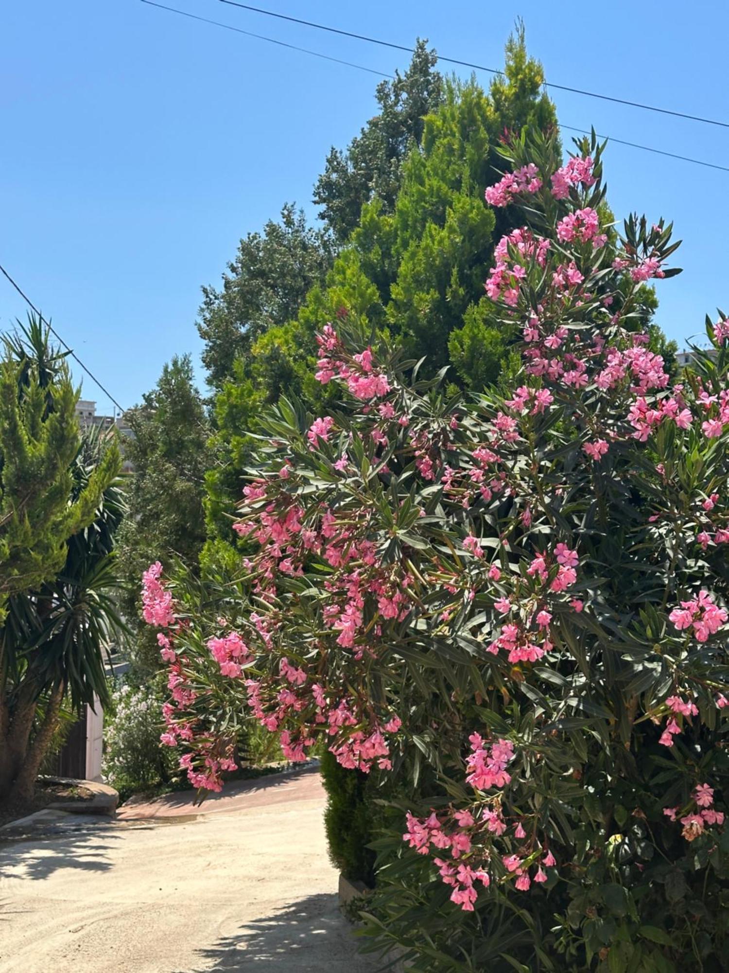 Panoramic Views Of Saranda Daire Dış mekan fotoğraf